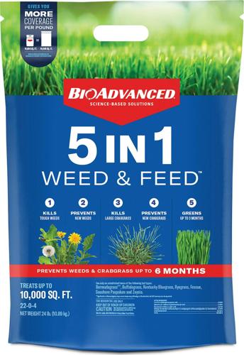 BioAdvanced 5 In 1 Weed and Feed, Granules, 24 lb