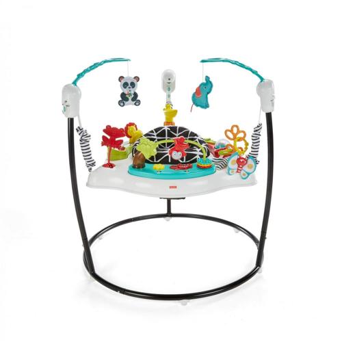 Fisher-Price Animal Wonders Jumperoo with Music, Lights and Sounds