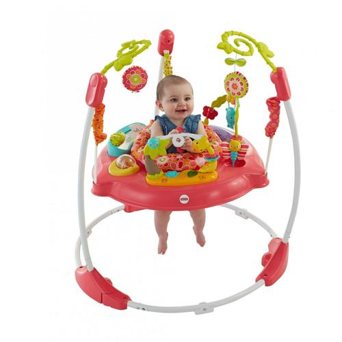 Fisher-Price Pink Petals Jumperoo with Music, Lights and Sounds